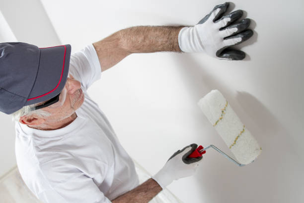 Best Drywall Removal and Disposal  in Des Plaines, IL